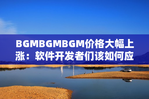 BGMBGMBGM价格大幅上涨：软件开发者们该如何应对？