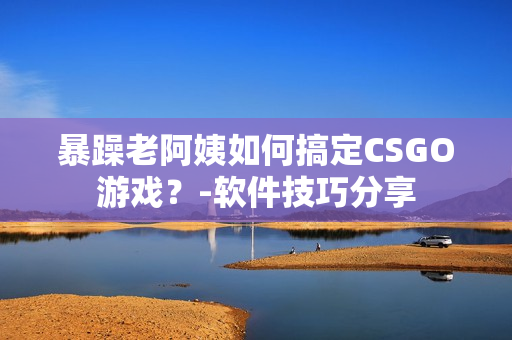 暴躁老阿姨如何搞定CSGO游戏？-软件技巧分享