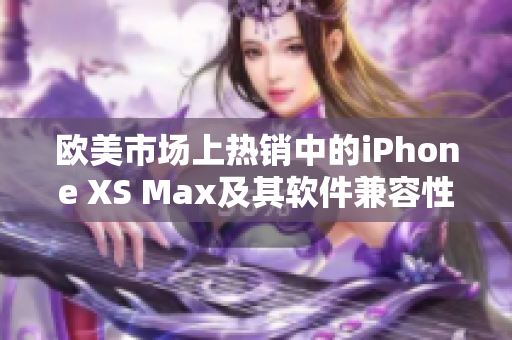 欧美市场上热销中的iPhone XS Max及其软件兼容性解析