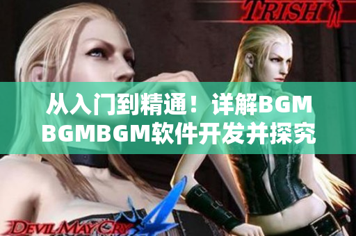 从入门到精通！详解BGMBGMBGM软件开发并探究其合理定价策略