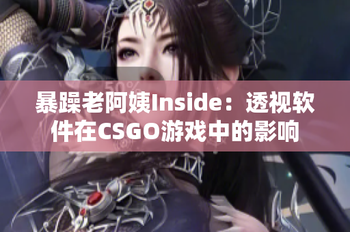 暴躁老阿姨Inside：透视软件在CSGO游戏中的影响