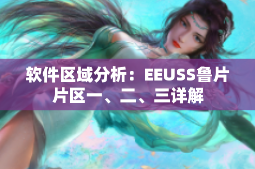 软件区域分析：EEUSS鲁片片区一、二、三详解