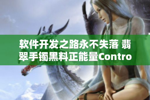 软件开发之路永不失落 翡翠手镯黑料正能量Controllers视察.