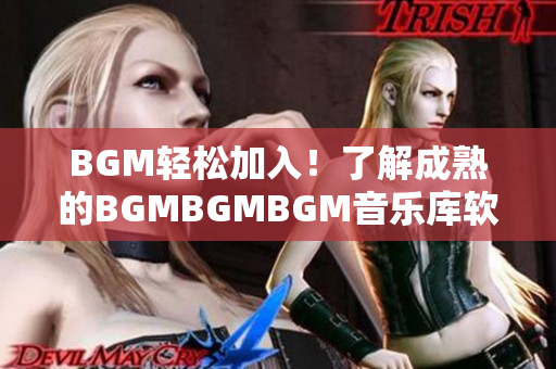 BGM轻松加入！了解成熟的BGMBGMBGM音乐库软件价格