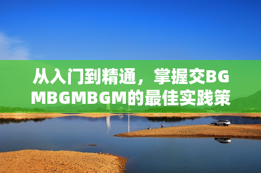 从入门到精通，掌握交BGMBGMBGM的最佳实践策略及软件技巧