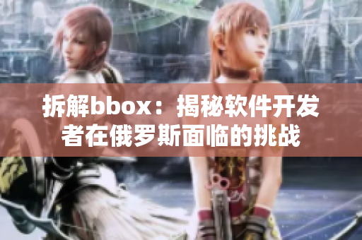 拆解bbox：揭秘软件开发者在俄罗斯面临的挑战