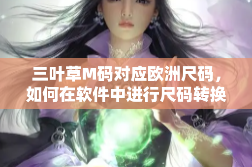 三叶草M码对应欧洲尺码，如何在软件中进行尺码转换？