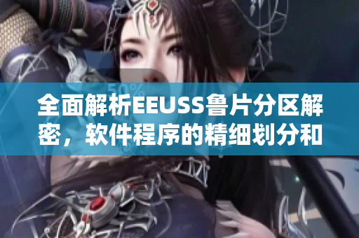 全面解析EEUSS鲁片分区解密，软件程序的精细划分和优化部署