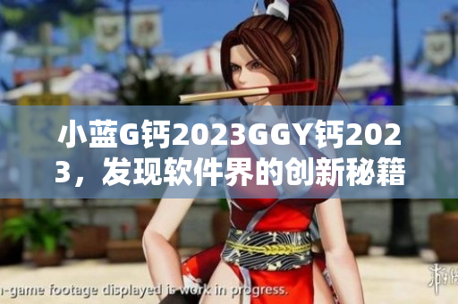 小蓝G钙2023GGY钙2023，发现软件界的创新秘籍