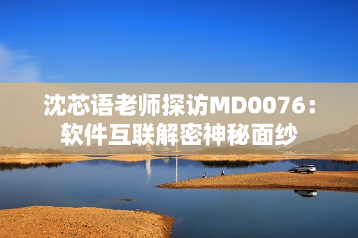 沈芯语老师探访MD0076：软件互联解密神秘面纱