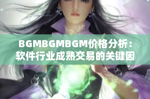 BGMBGMBGM价格分析：软件行业成熟交易的关键因素详解