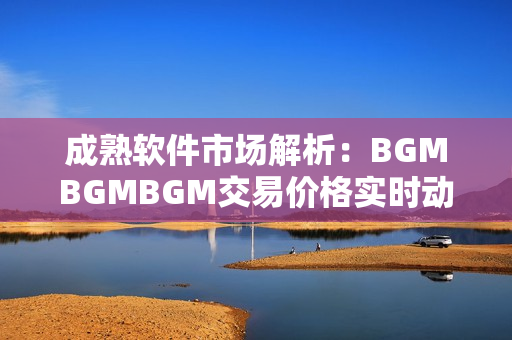 成熟软件市场解析：BGMBGMBGM交易价格实时动态分析