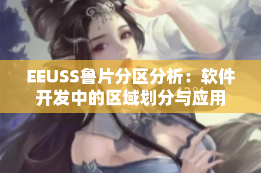 EEUSS鲁片分区分析：软件开发中的区域划分与应用