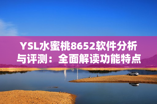 YSL水蜜桃8652软件分析与评测：全面解读功能特点与性能表现