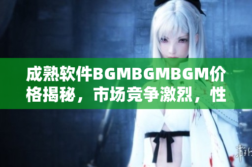 成熟软件BGMBGMBGM价格揭秘，市场竞争激烈，性价比分析全解析