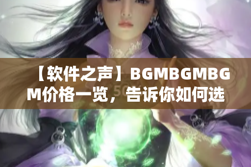 【软件之声】BGMBGMBGM价格一览，告诉你如何选择软件背景音乐！