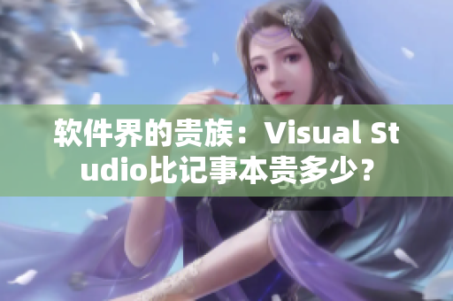 软件界的贵族：Visual Studio比记事本贵多少？