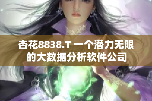 杏花8838.T 一个潜力无限的大数据分析软件公司