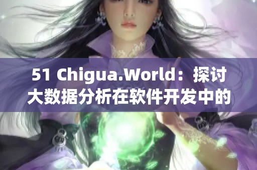 51 Chigua.World：探讨大数据分析在软件开发中的应用