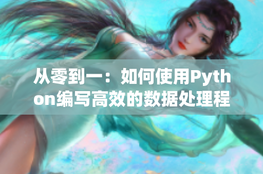 从零到一：如何使用Python编写高效的数据处理程序